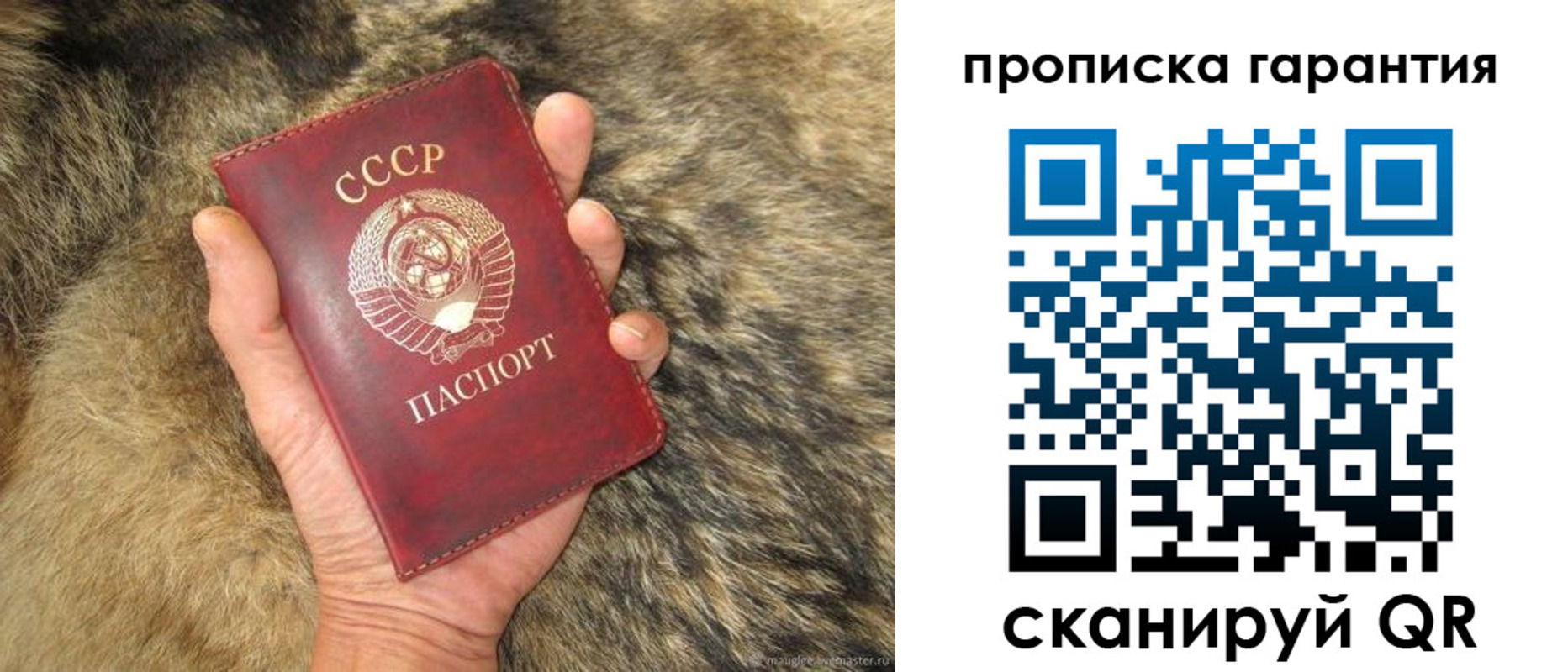 прописка паспорт в Арсеньеве